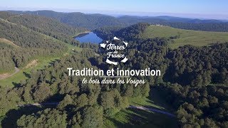 Documentaire Tradition et innovation : le bois dans les Vosges