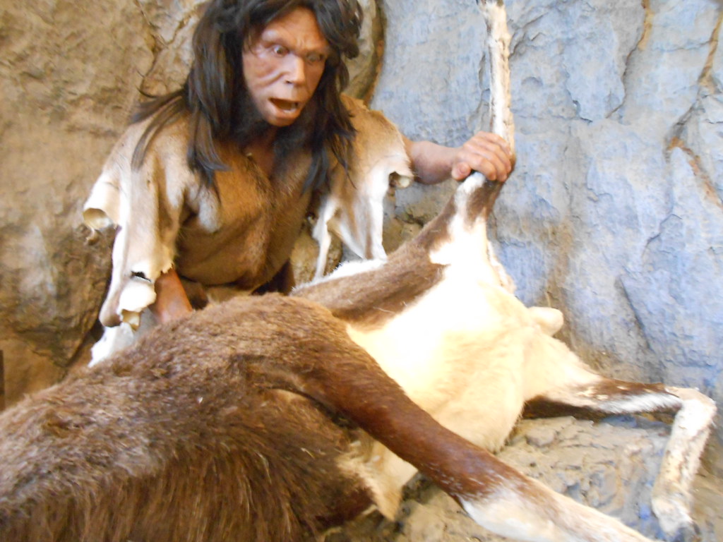 L’Homme de Tautavel: voyage dans le passé préhistorique
