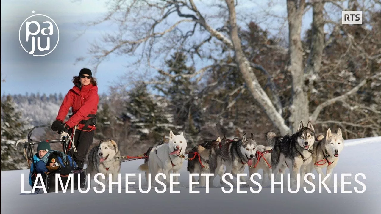 Documentaire Anouk vit dans les Franches Montagnes avec l’une des plus grosses meutes de huskies de Suisse