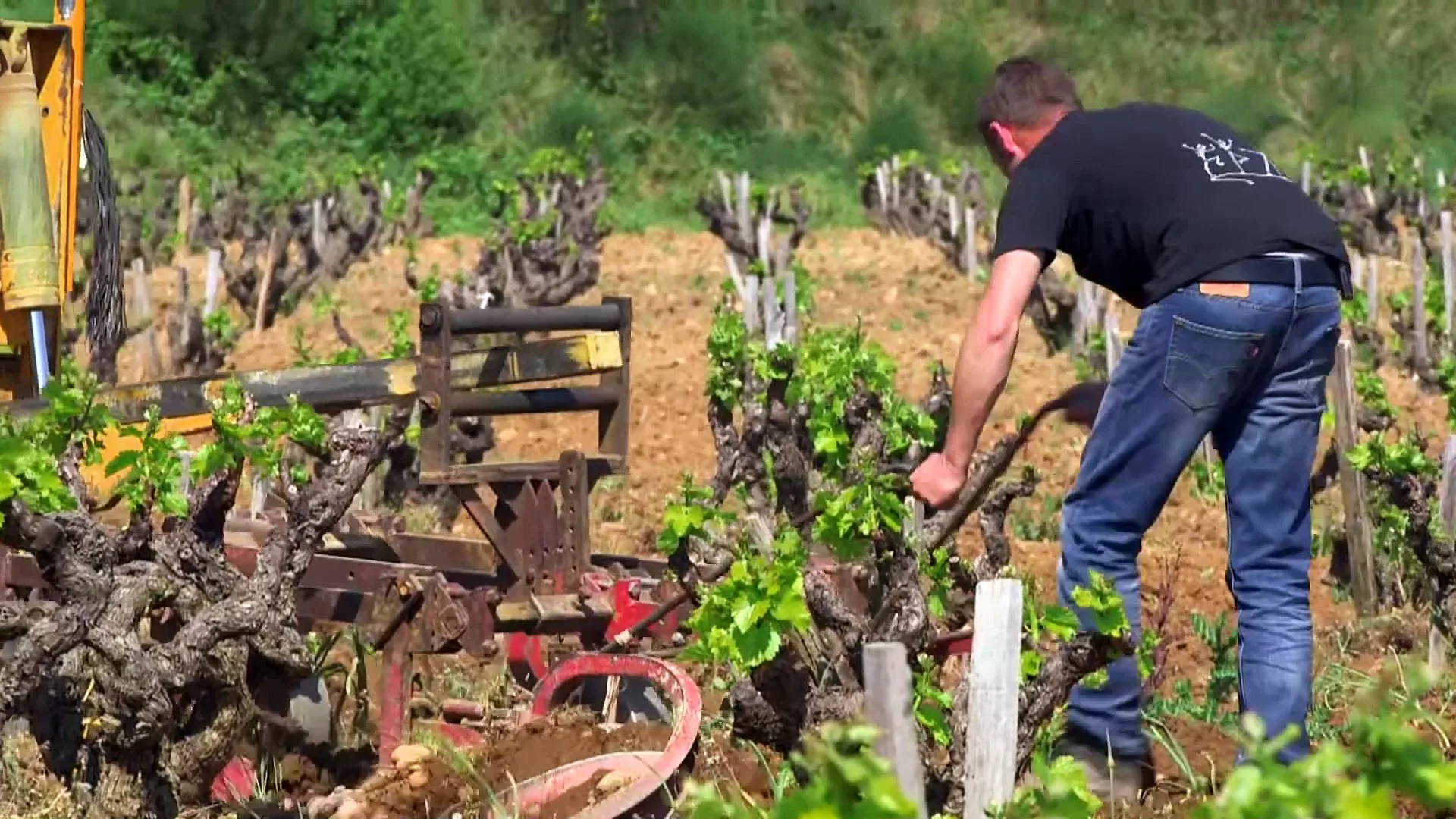 Documentaire Châteauneuf-du-Pâpe : ce vin que les américains achètent 400$ la bouteille