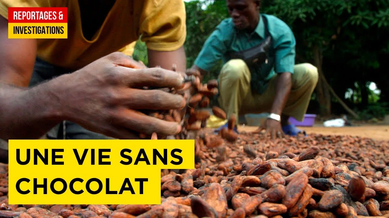 Documentaire Chocolat : une pénurie mondiale se dessine