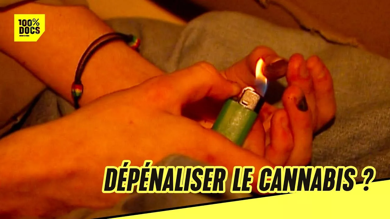 Documentaire Dépénaliser le cannabis, un combat Français