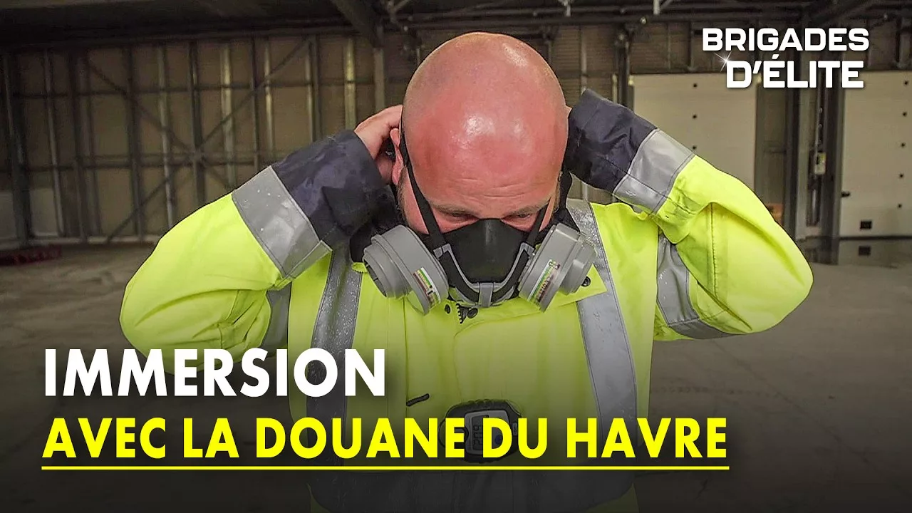 Documentaire Douane du Havre : ils nous sauvent de 400k jouets dangereux par an !