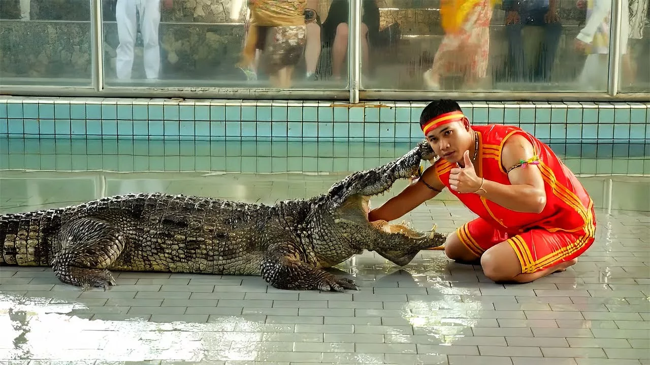 Documentaire Dresseur de crocodiles, un métier de tous les dangers