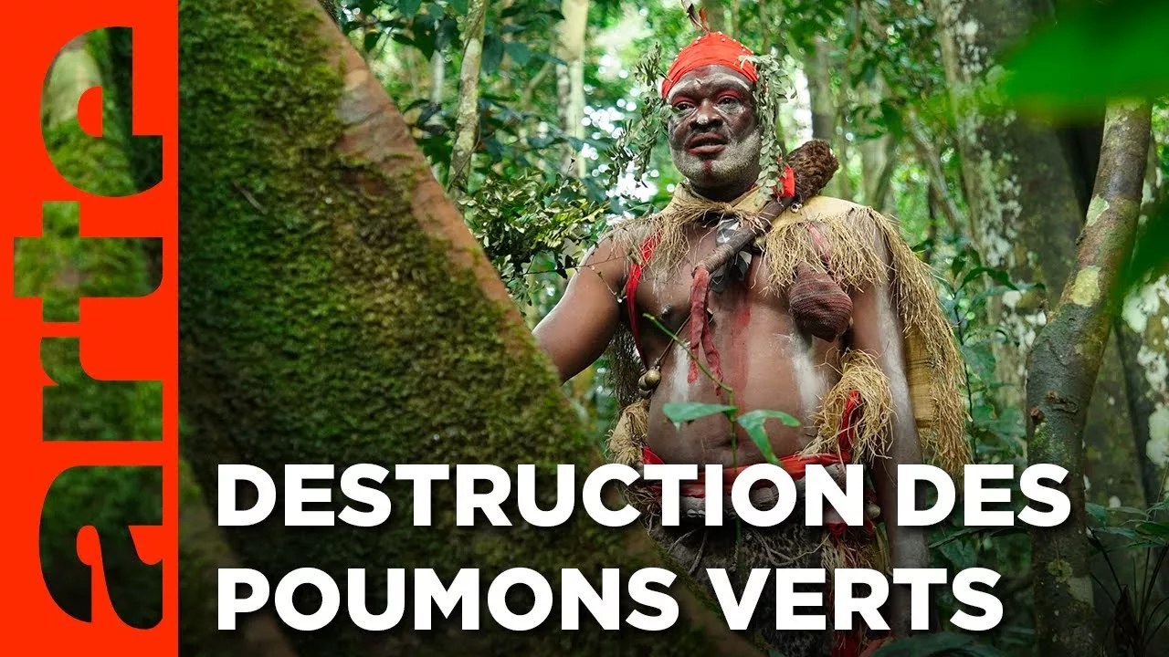 Documentaire Gabon – La forêt qui soigne
