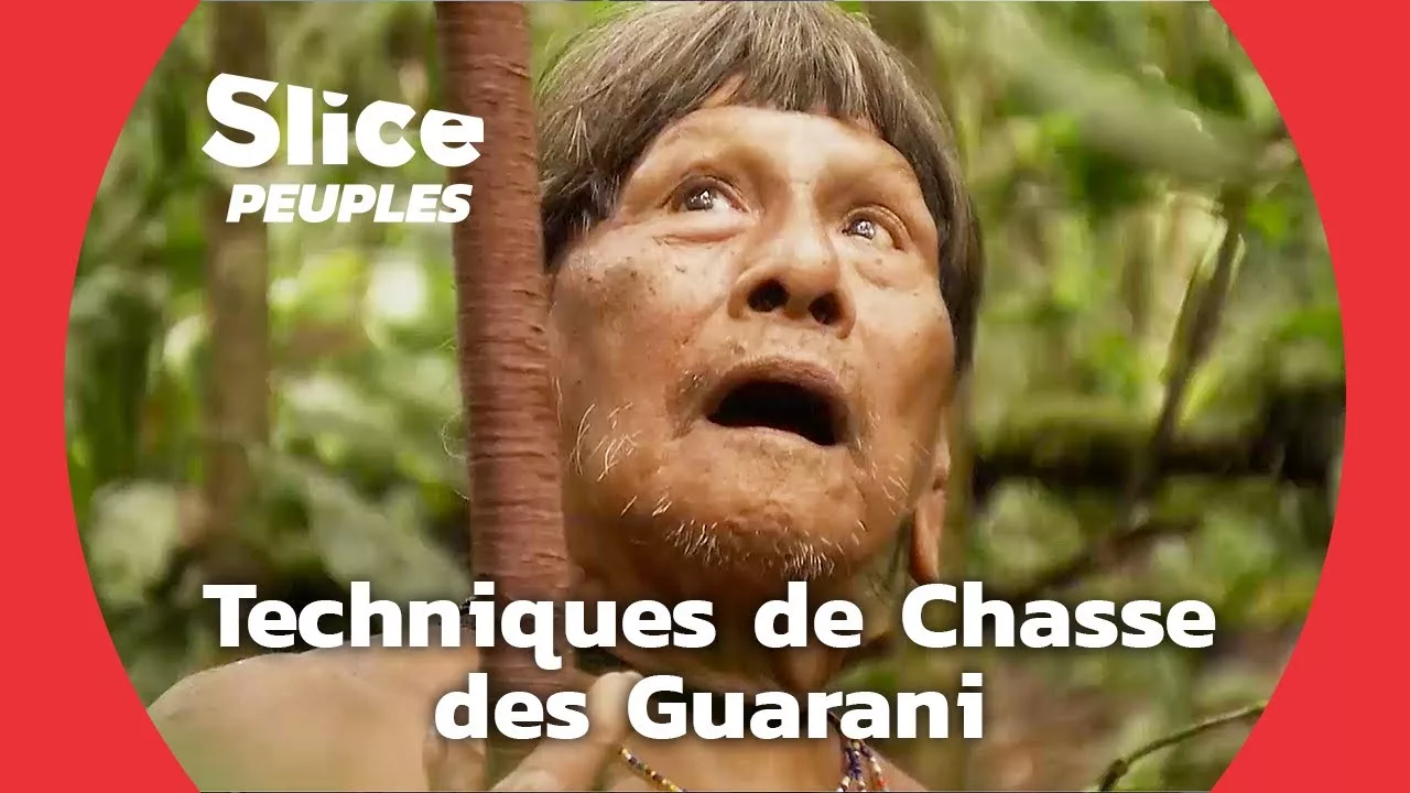 Documentaire Guarani : comment se nourrir dans la jungle amazonienne ?
