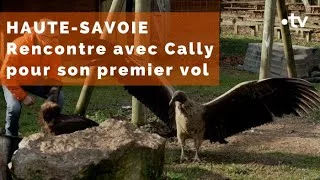 Documentaire Haute-Savoie : Cally prend son envol !