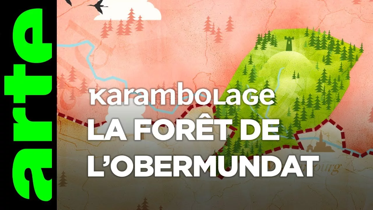 Documentaire La forêt de l’Obermundat