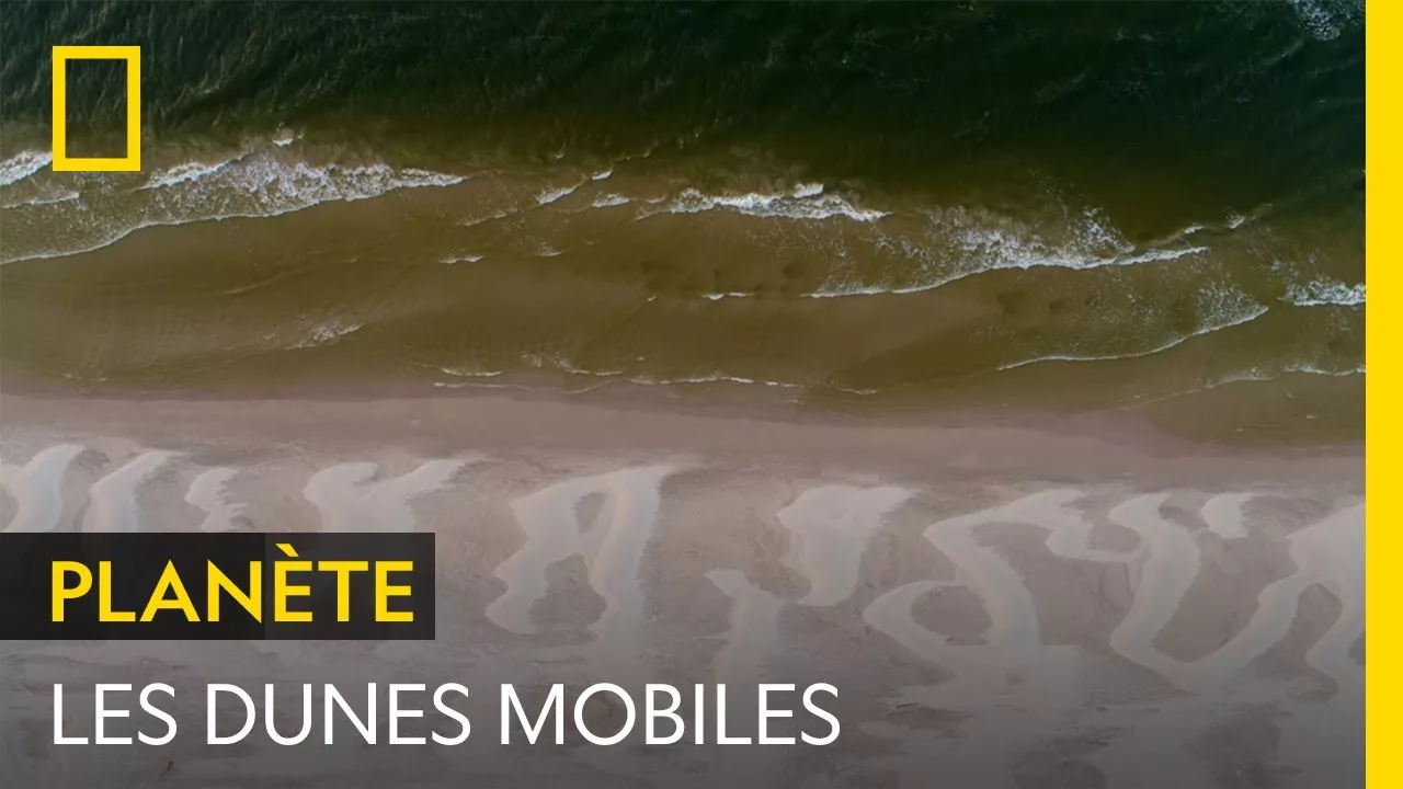 Documentaire Les intrigantes dunes de sables mobiles de Łeba, en Pologne