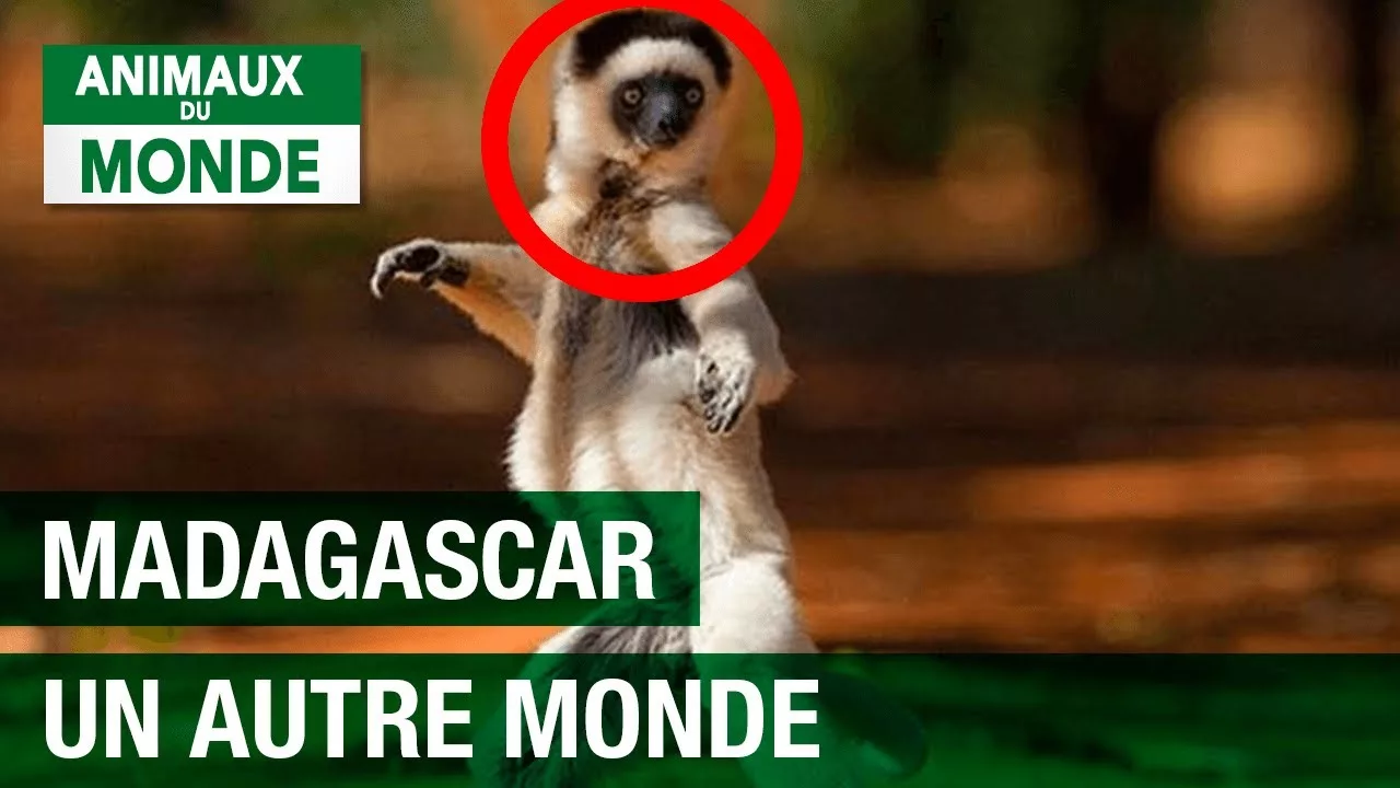 Documentaire Madagascar, un autre monde