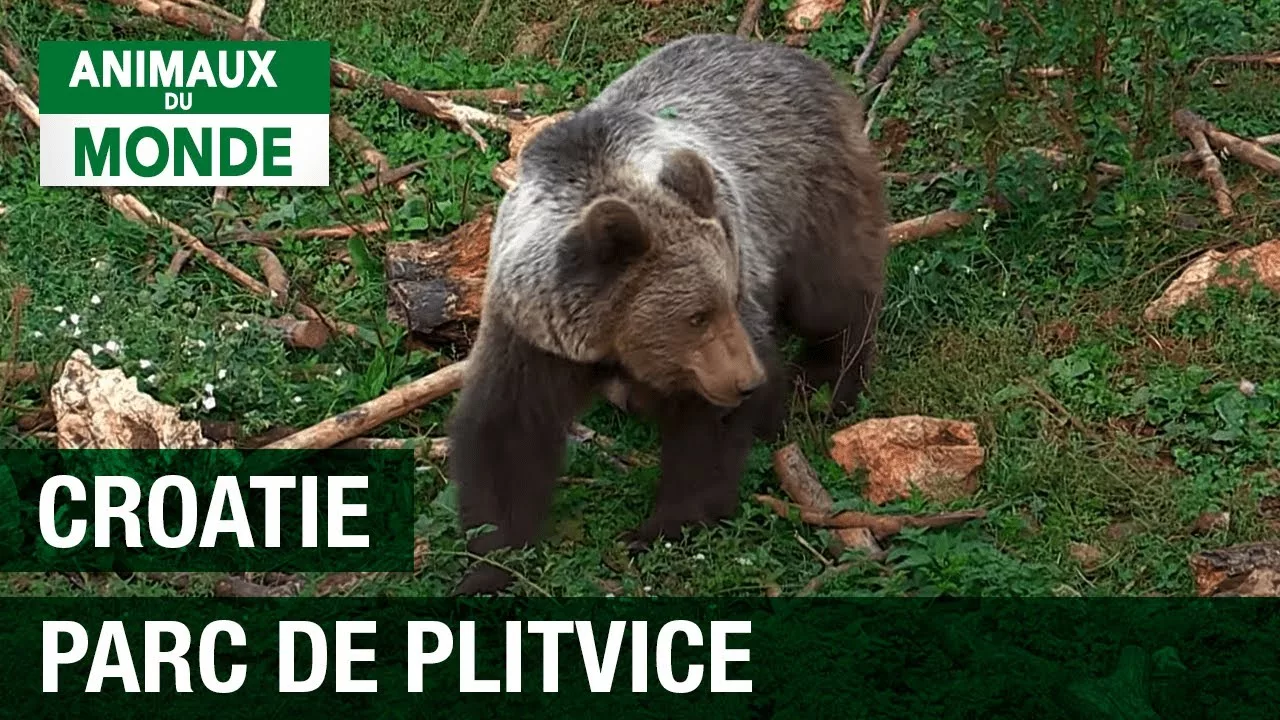 Documentaire Parc national de Plitvice