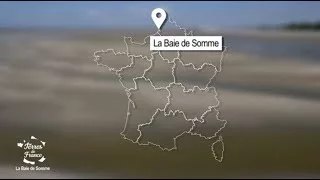 Documentaire Une journée en Baie de Somme