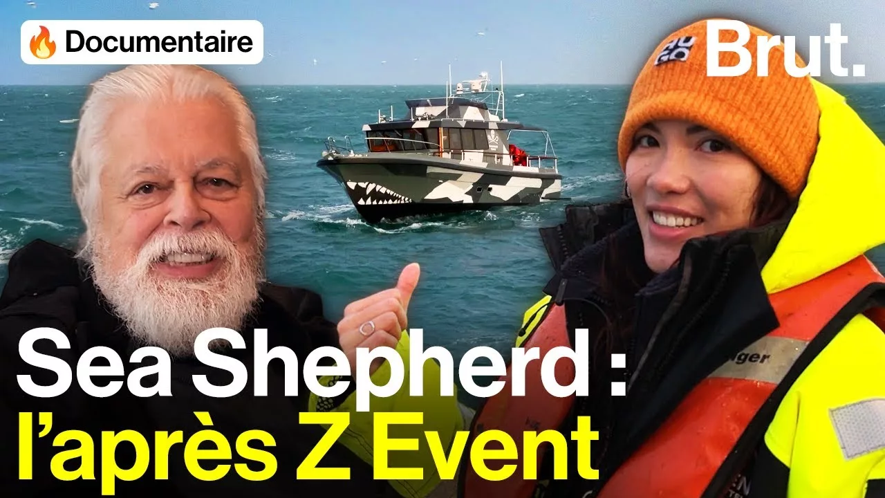 Documentaire Avec LittleBigWhale et Paul Watson à bord du Walrus, le bateau financé par le Z Event