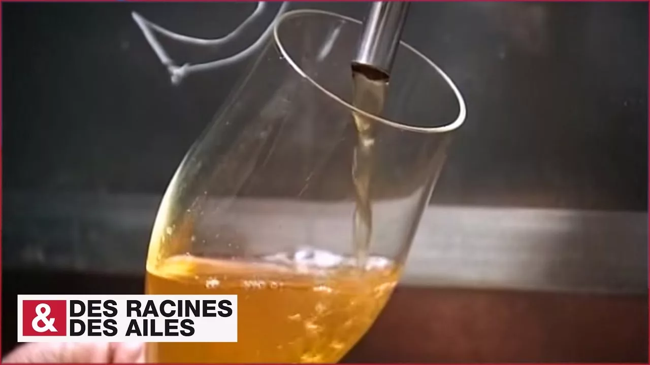 Documentaire Comment fabrique-t-on la bière dans les Hauts-de-France ?
