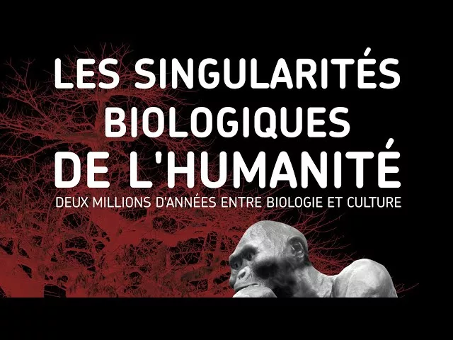 Documentaire Les singularités biologiques de l’humanité