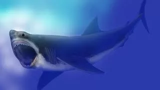 Documentaire Mégalodon, le requin géant