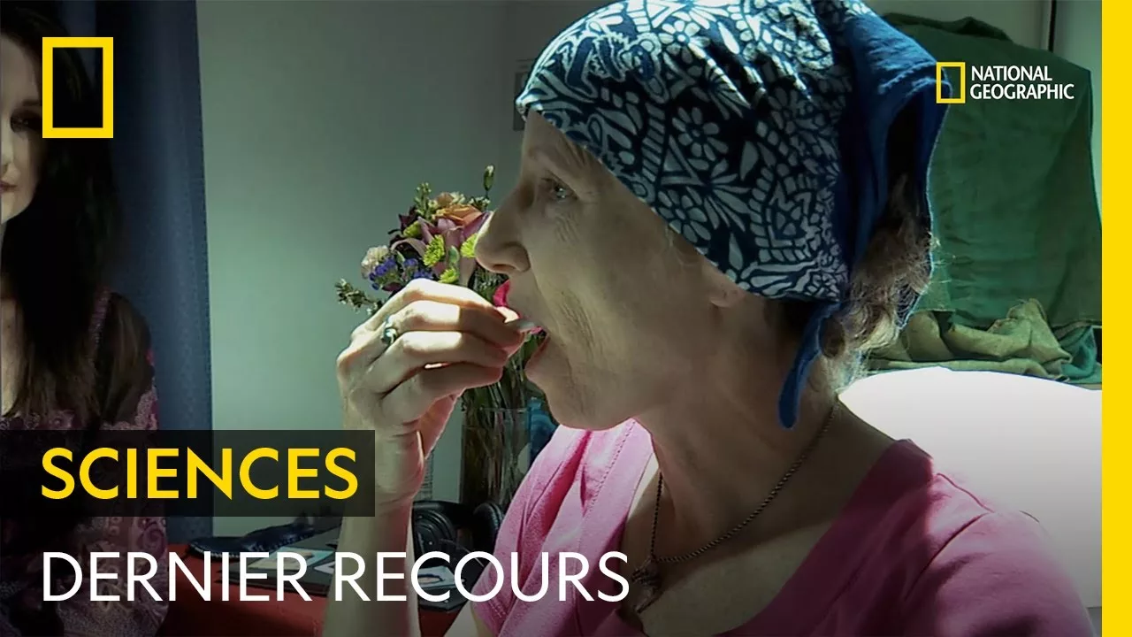 Documentaire Des psychédéliques pour soulager les patients atteints de maladies incurables