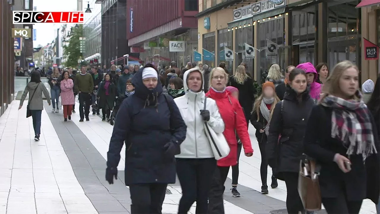 Documentaire Frenchies à Stockholm :  nouvelle vie, nouveau chapitre