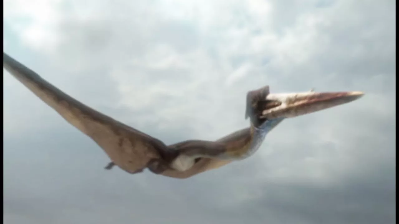 Documentaire Hatzegopteryx : la plus grande créature volante