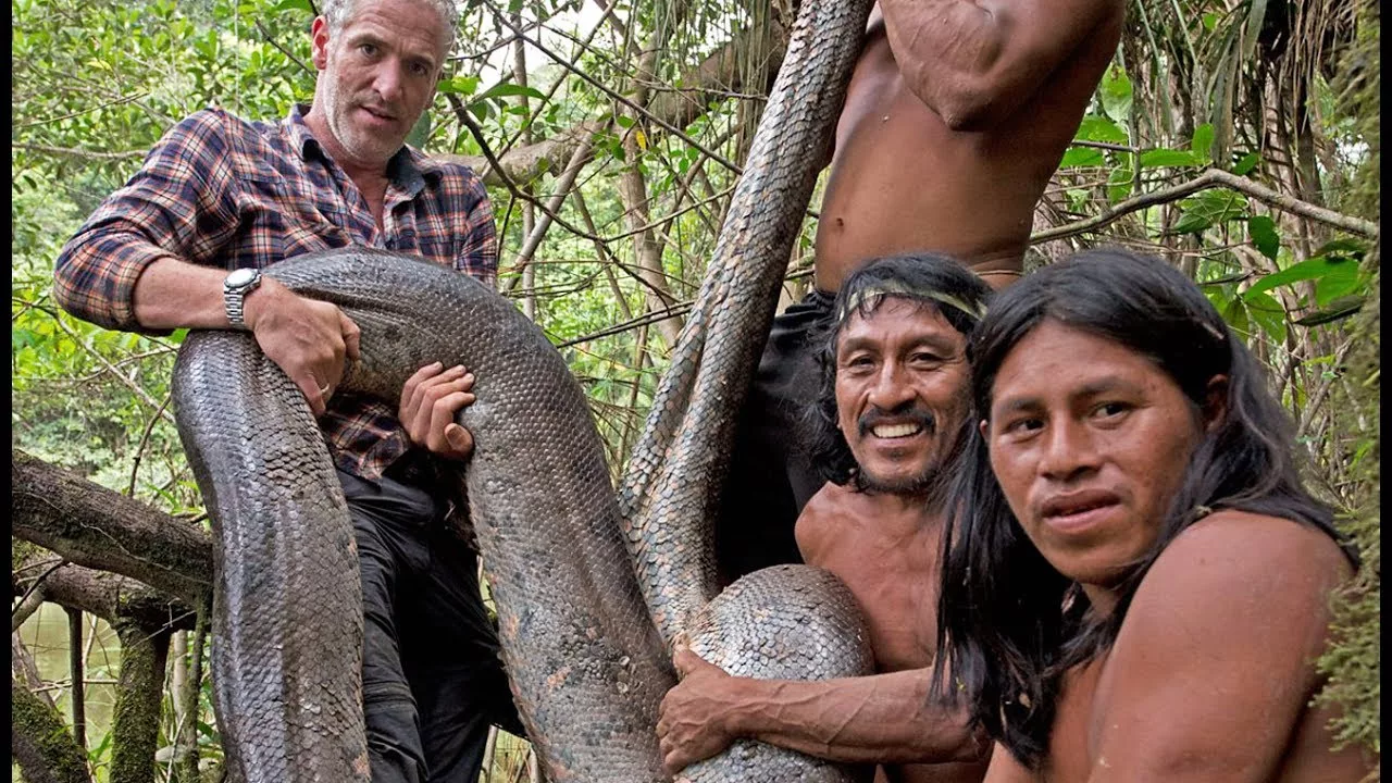 Documentaire Ils capturent un anaconda à mains nues