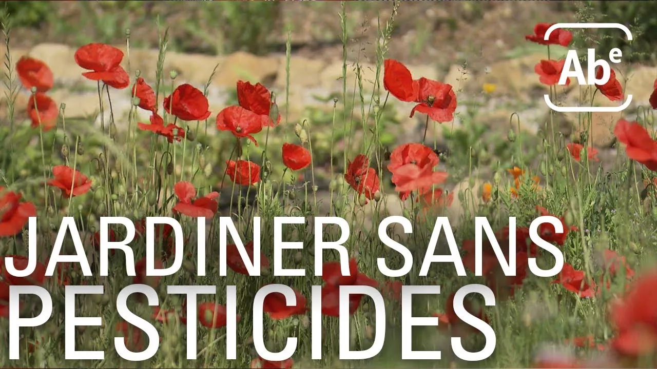 Documentaire Jardiner sans pesticides