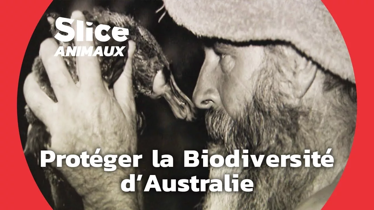 Documentaire John Wamsley, le protecteur de la faune australienne