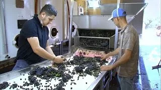 Documentaire Les Grands Vins Français | Vallée Sud du Rhône
