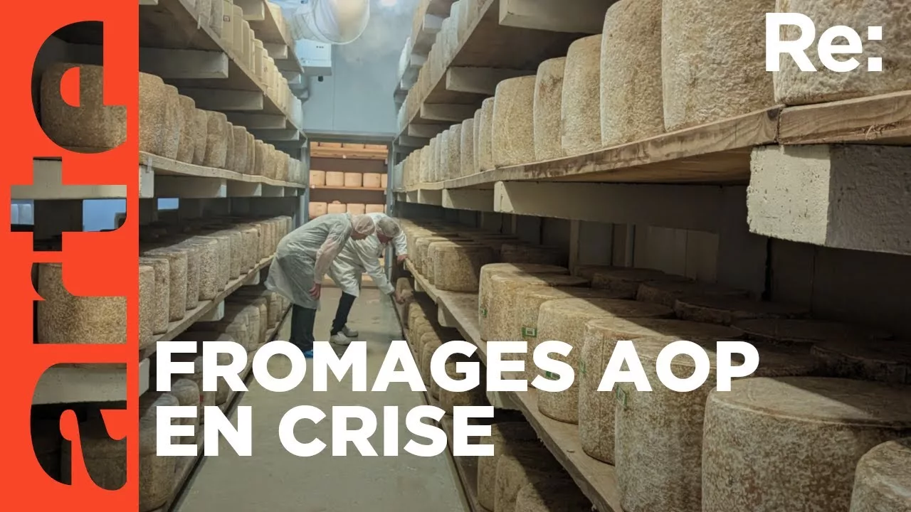 Documentaire Les fromages AOP dans la tourmente