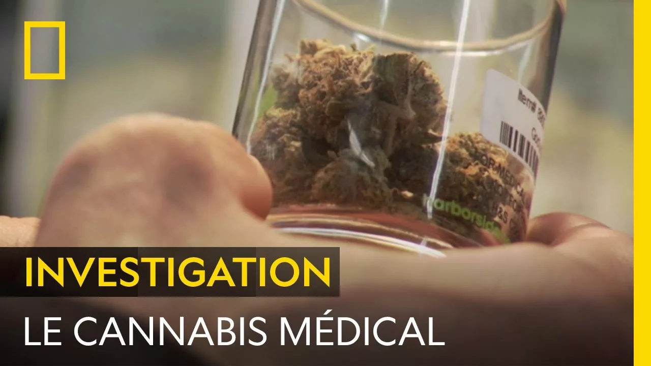 Documentaire Oakland, épicentre de la légalisation du cannabis médical