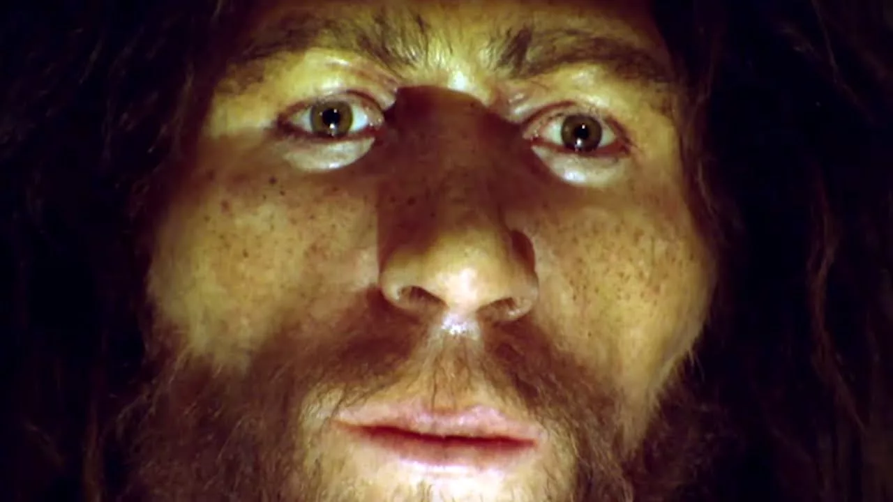 Documentaire Que reste-t-il de Néandertal en nous ?