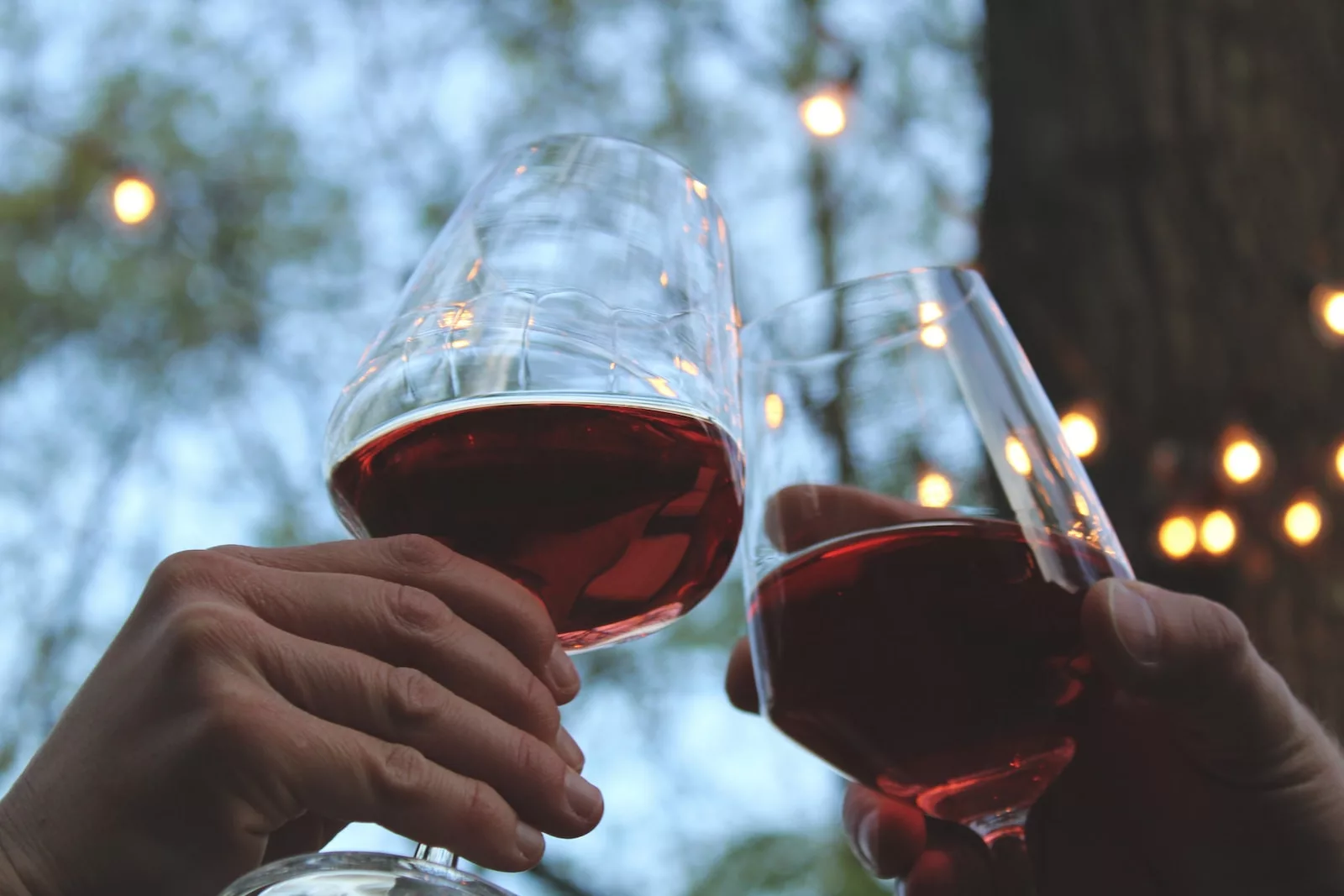 Documentaire Vin rouge sans alcool : comment est-il fabriqué ?