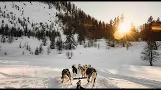 Documentaire Hautes-Alpes – Une nature animale