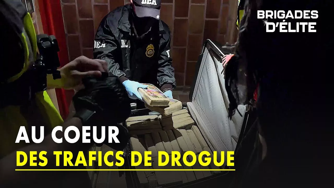 Documentaire Ils éliminent tous les trafics de drogue sur le territoire