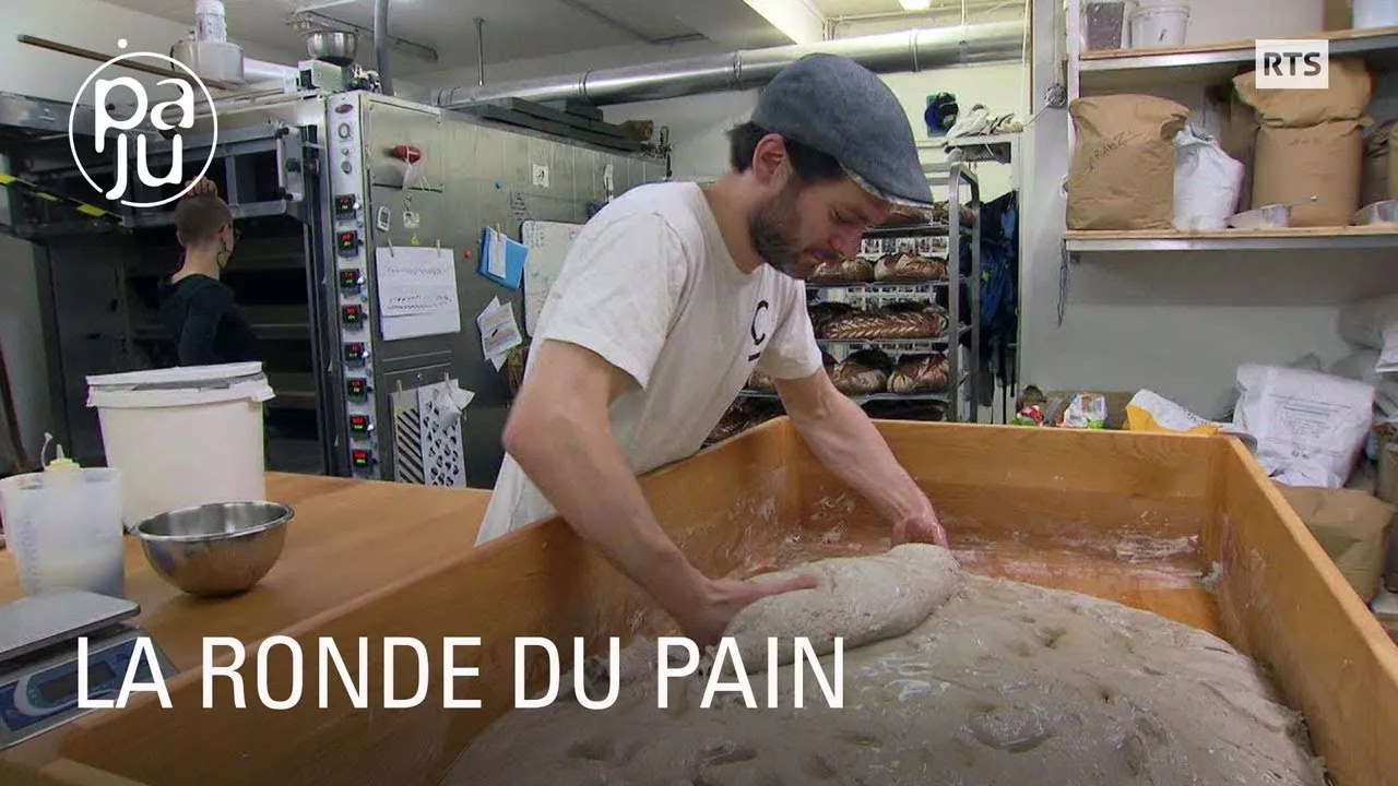 Documentaire Ils fabriquent des pains au levain naturel avec des farines locales, moulues sur meule de pierre