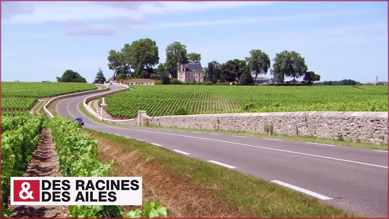 Documentaire La route des Châteaux du Medoc