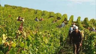 Documentaire Les Grands Vins Français | Bordeaux : Château Cheval Blanc et Château Ausone