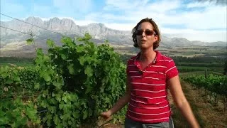 Documentaire Les Vins du Nouveau Monde | Afrique du Sud