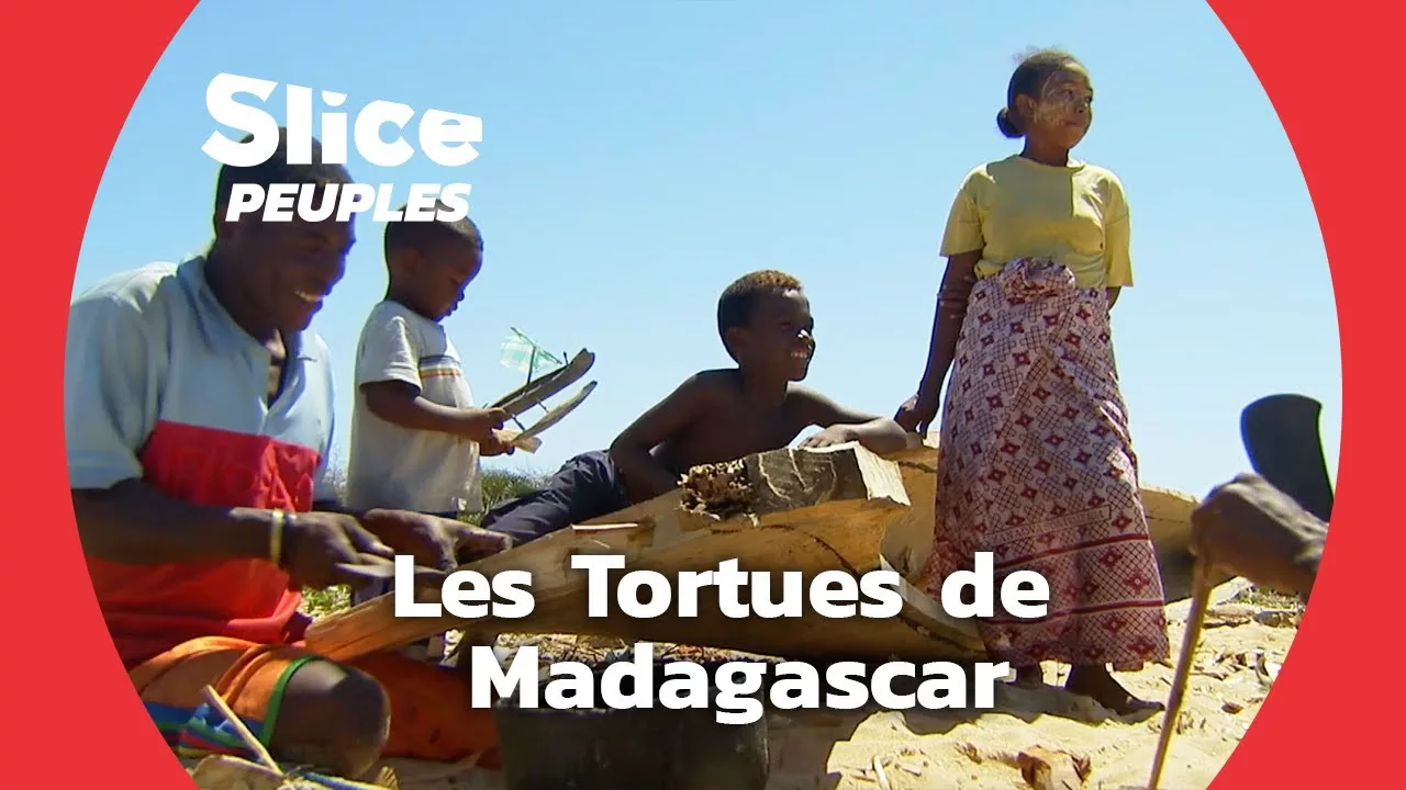 Documentaire Madagascar : la communauté Vézo et la protection des tortues