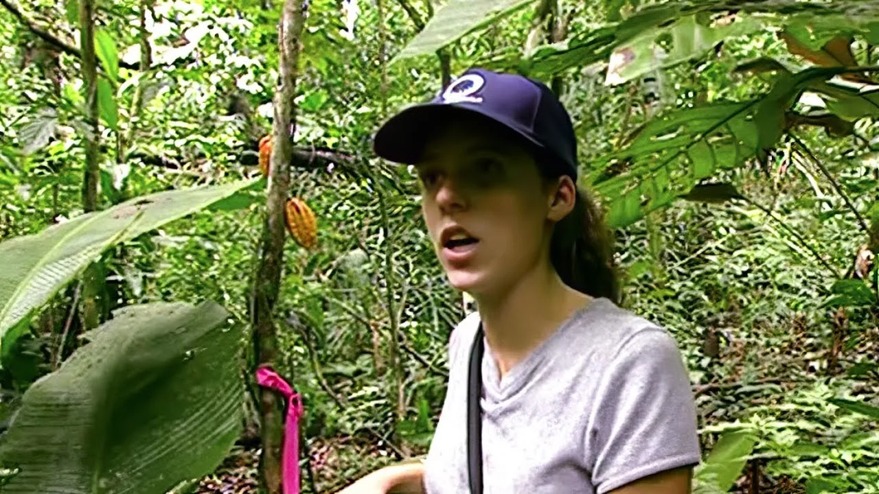 Panama : trésor vert sur l'île de Barro Colorado