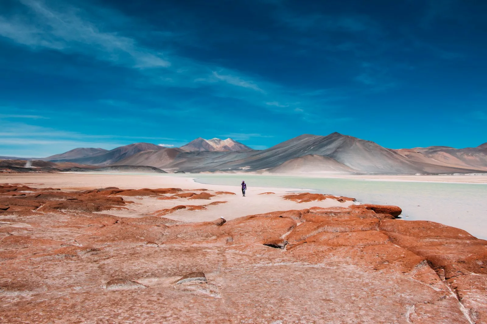 Atacama, à la poursuite de l’eau