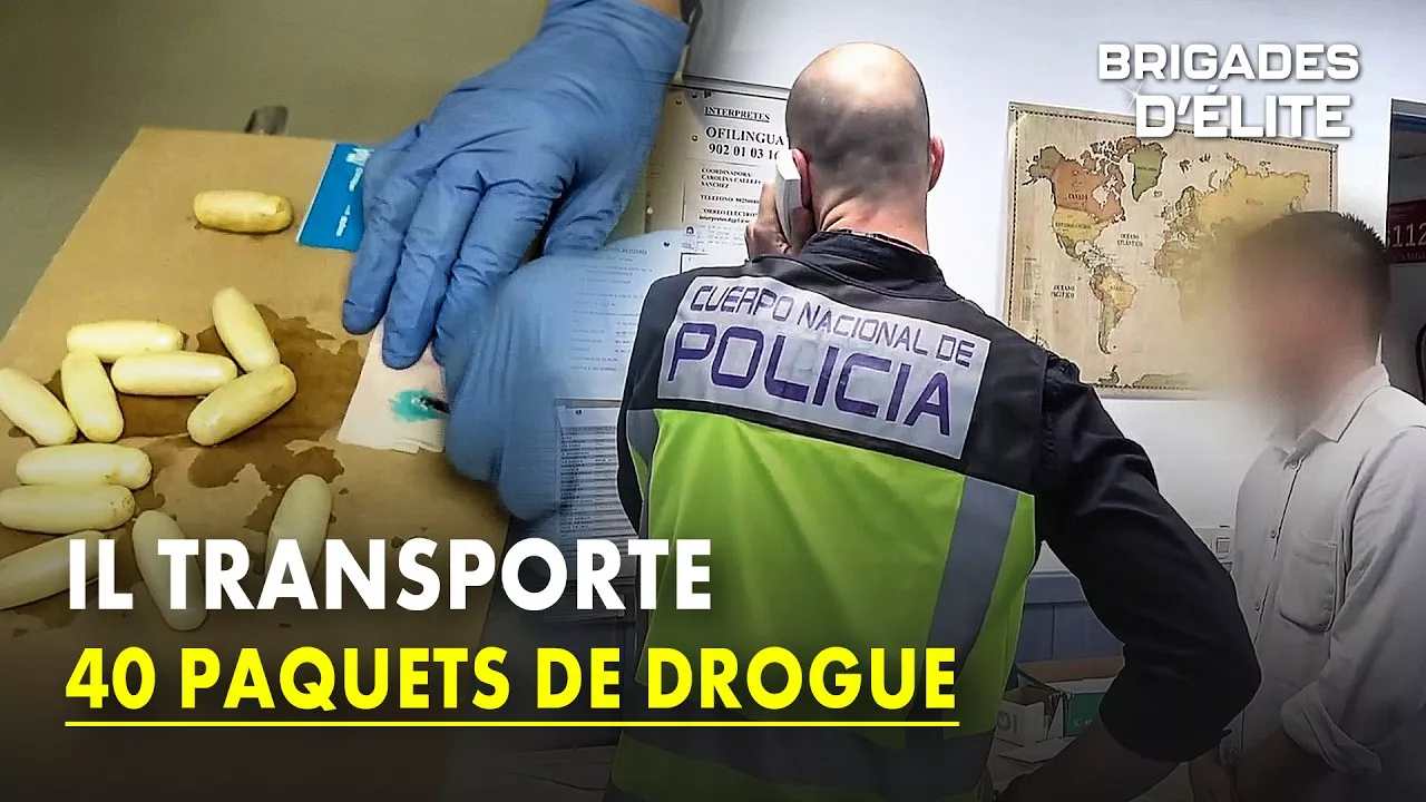 Documentaire Brigade des stups : ils traquent les passagers suspects