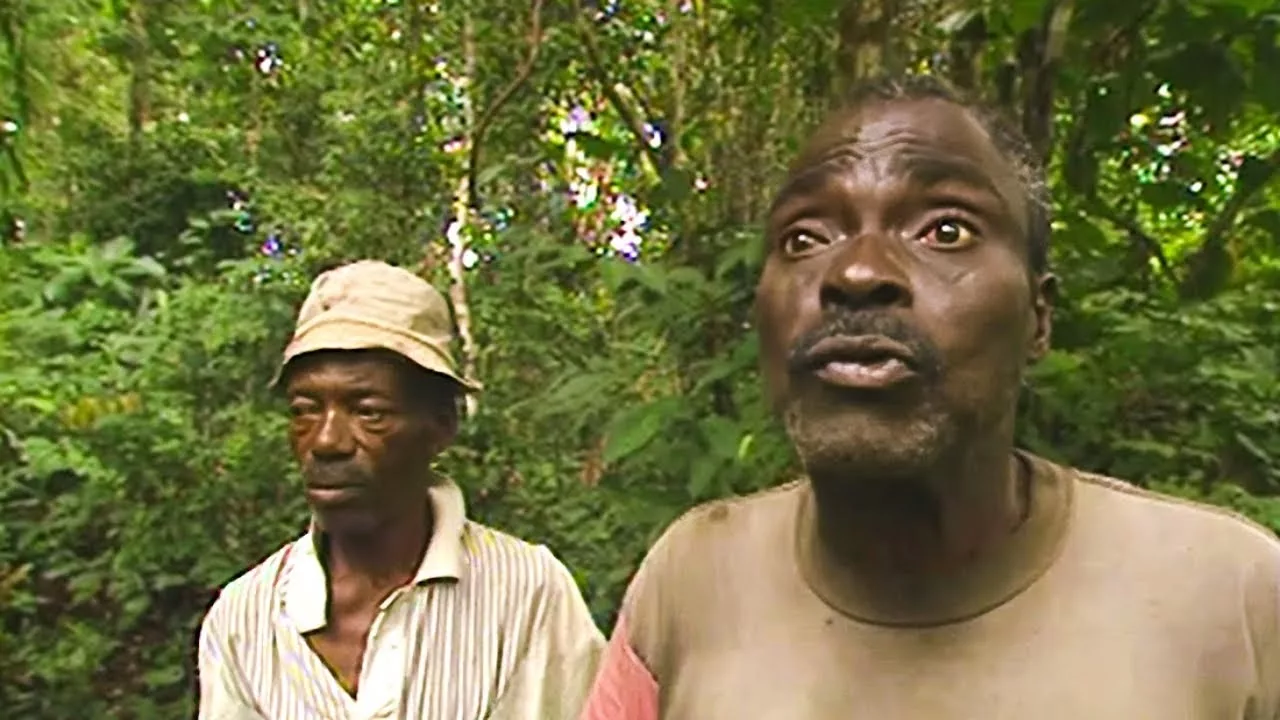 Documentaire Cameroun : touche pas à ma forêt !
