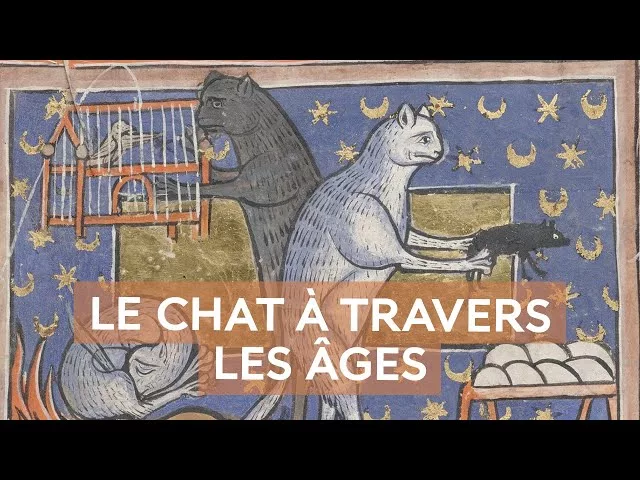 Documentaire Les chats, à la conquête du monde et des âges