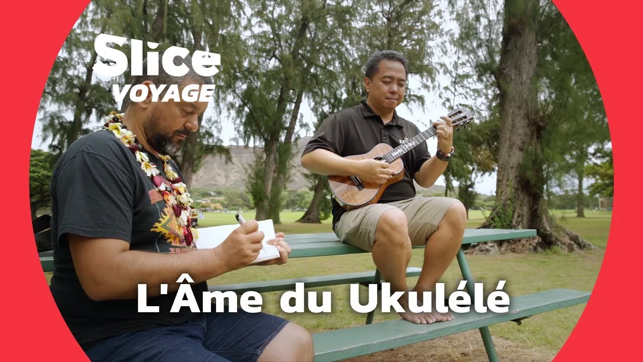 Documentaire Hawaï : ukulélé et aloha dans un même dessin