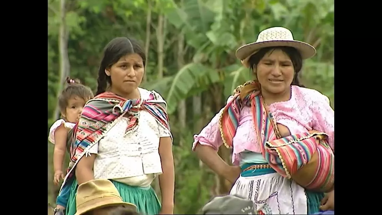 Documentaire La coca, la plante sacrée de Bolivie