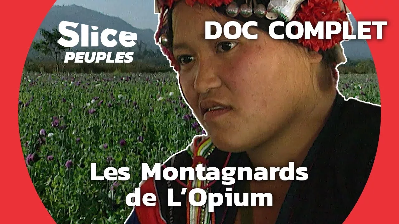Documentaire Laos : cultiver le pavot pour faire de l’opium