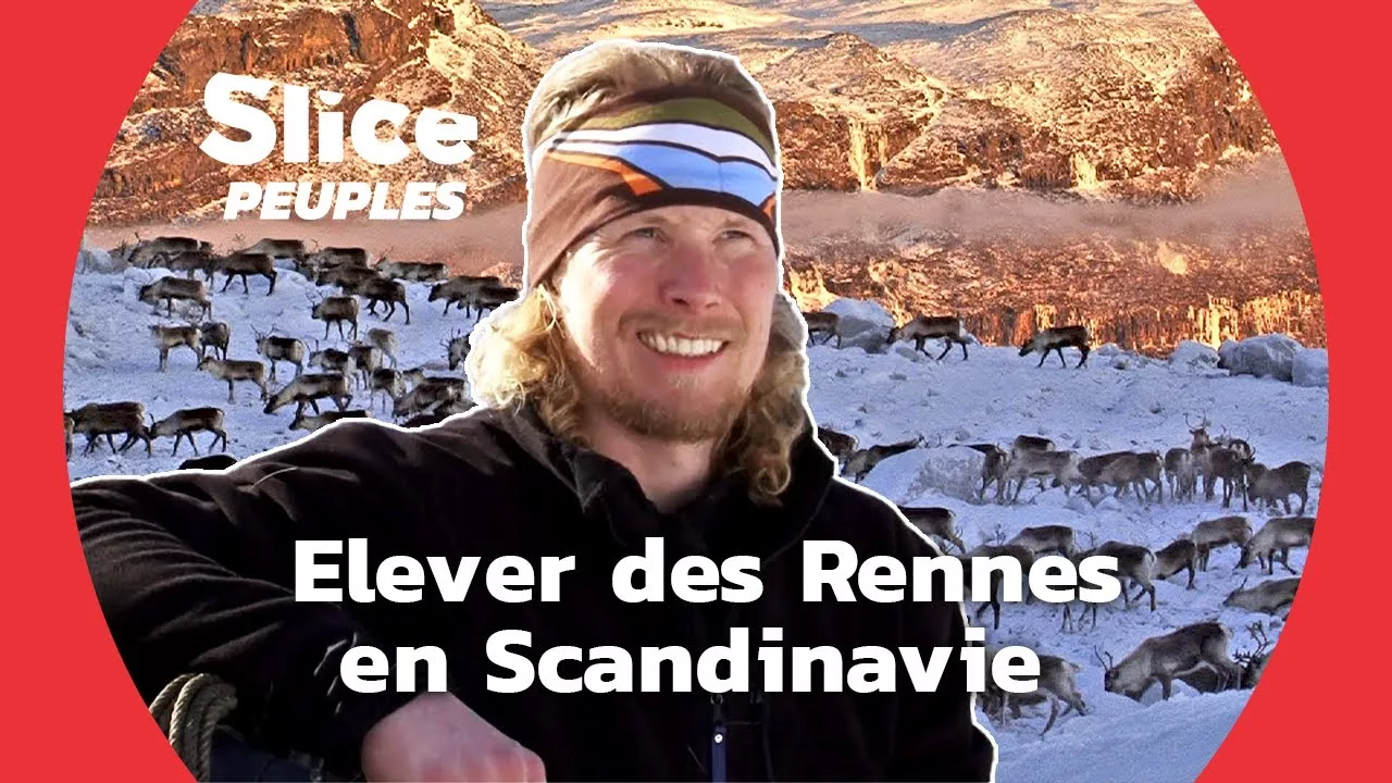 Documentaire Les Sami, des éleveurs de rennes au grand coeur