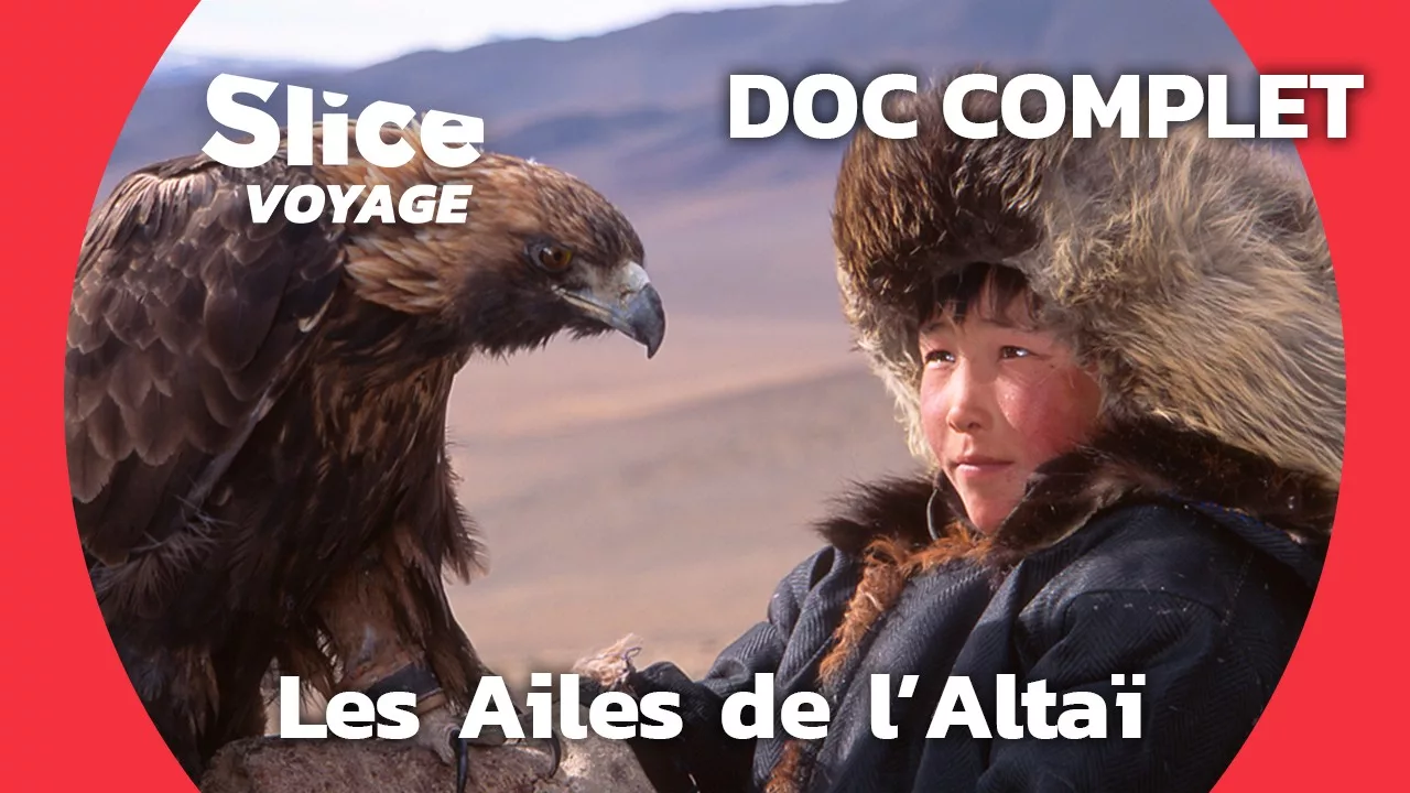Documentaire Mongolie : Balapan, les ailes de l’Altaï