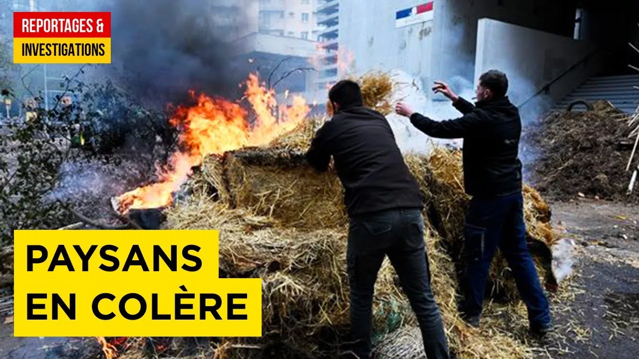 Documentaire Paysans en colère – L’effondrement silencieux de l’agriculture française ?