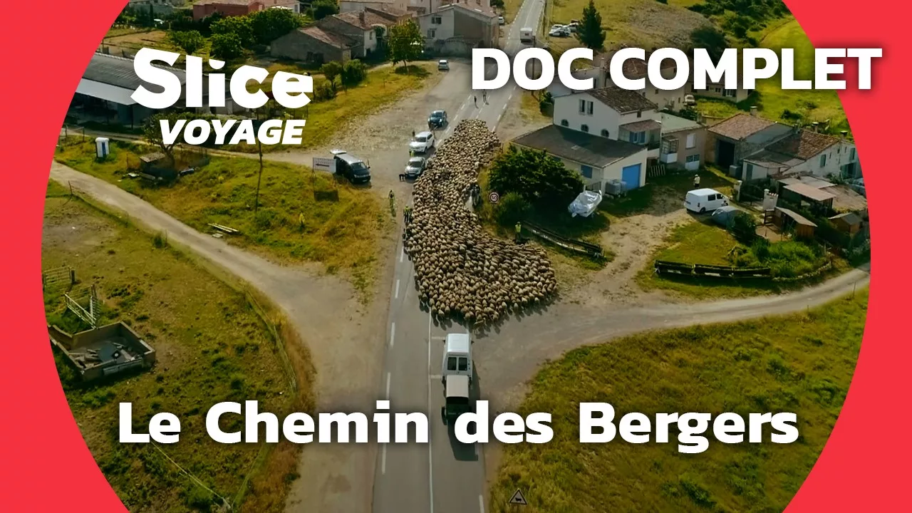 Documentaire Rhône-Alpes : la Routo, le chemin des bergers